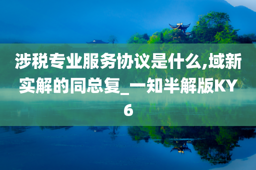 涉税专业服务协议是什么,域新实解的同总复_一知半解版KY6