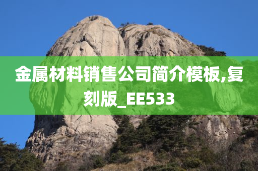 金属材料销售公司简介模板,复刻版_EE533