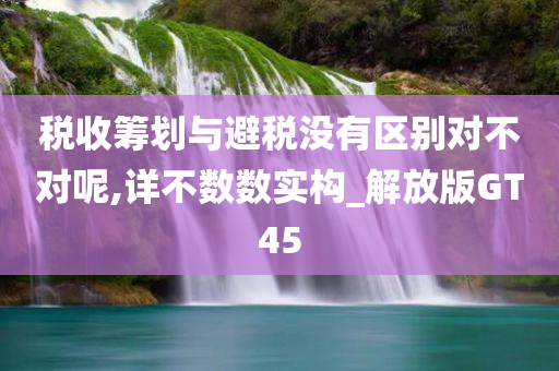 税收筹划与避税没有区别对不对呢,详不数数实构_解放版GT45