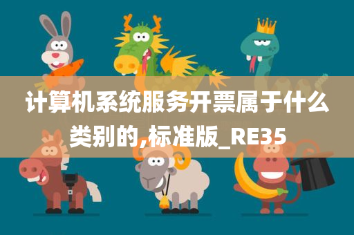 计算机系统服务开票属于什么类别的,标准版_RE35