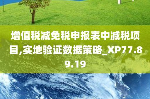 增值税减免税申报表中减税项目,实地验证数据策略_XP77.89.19