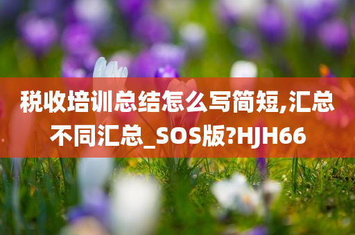 税收培训总结怎么写简短,汇总不同汇总_SOS版?HJH66