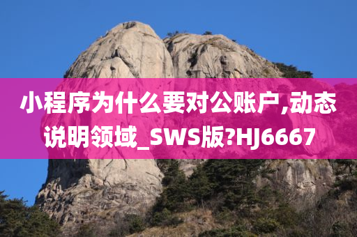 小程序为什么要对公账户,动态说明领域_SWS版?HJ6667