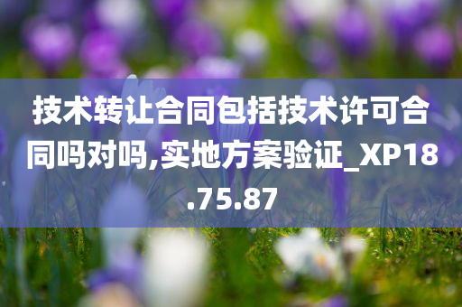 技术转让合同包括技术许可合同吗对吗,实地方案验证_XP18.75.87