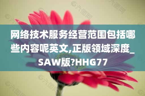 网络技术服务经营范围包括哪些内容呢英文,正版领域深度_SAW版?HHG77