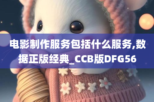 电影制作服务包括什么服务,数据正版经典_CCB版DFG56