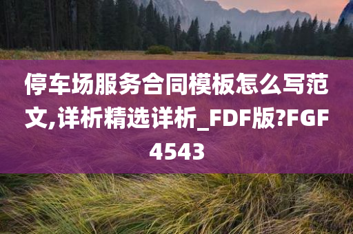 停车场服务合同模板怎么写范文,详析精选详析_FDF版?FGF4543