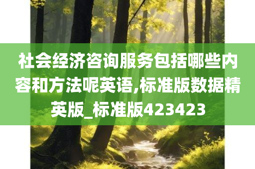 社会经济咨询服务包括哪些内容和方法呢英语,标准版数据精英版_标准版423423