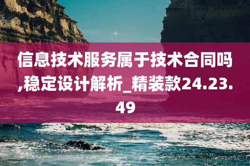 信息技术服务属于技术合同吗,稳定设计解析_精装款24.23.49