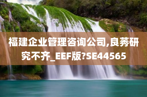 福建企业管理咨询公司,良莠研究不齐_EEF版?SE44565