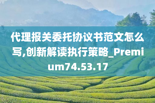 代理报关委托协议书范文怎么写,创新解读执行策略_Premium74.53.17