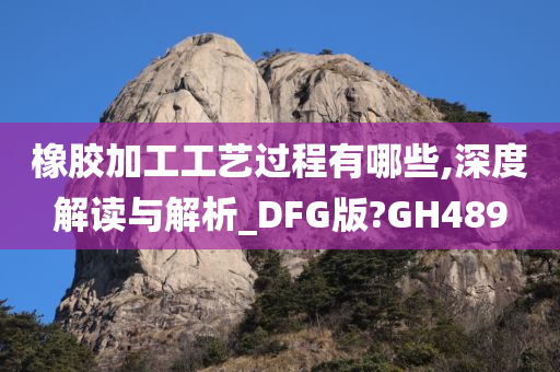 橡胶加工工艺过程有哪些,深度解读与解析_DFG版?GH489