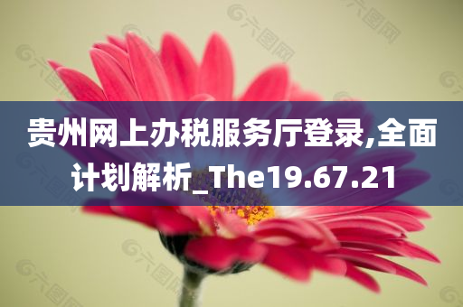 贵州网上办税服务厅登录,全面计划解析_The19.67.21