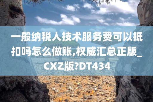 一般纳税人技术服务费可以抵扣吗怎么做账,权威汇总正版_CXZ版?DT434