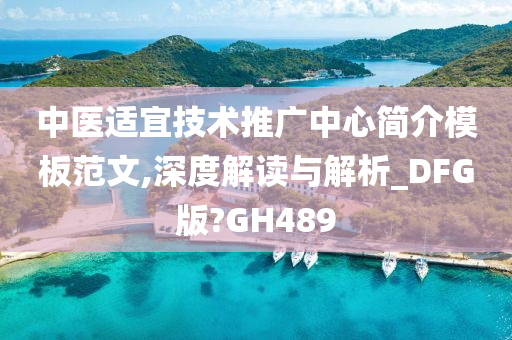 中医适宜技术推广中心简介模板范文,深度解读与解析_DFG版?GH489