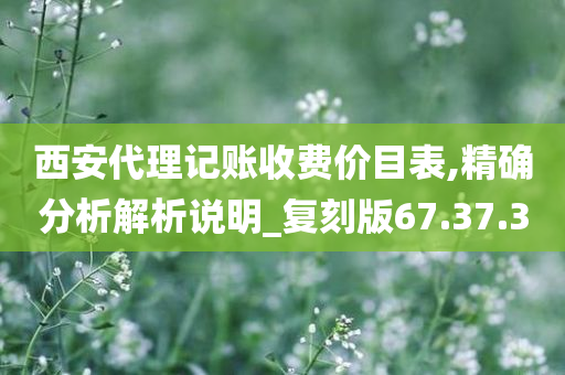 西安代理记账收费价目表,精确分析解析说明_复刻版67.37.30