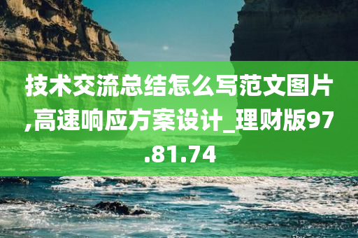 技术交流总结怎么写范文图片,高速响应方案设计_理财版97.81.74