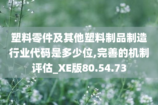 塑料零件及其他塑料制品制造行业代码是多少位,完善的机制评估_XE版80.54.73