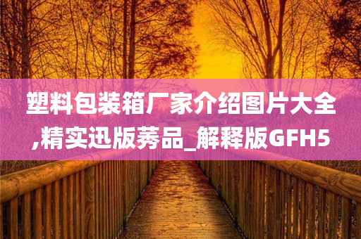 塑料包装箱厂家介绍图片大全,精实迅版莠品_解释版GFH5