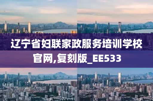 辽宁省妇联家政服务培训学校官网,复刻版_EE533