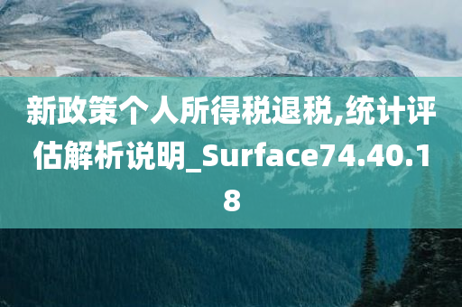 新政策个人所得税退税,统计评估解析说明_Surface74.40.18