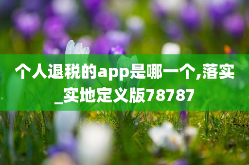 个人退税的app是哪一个,落实_实地定义版78787