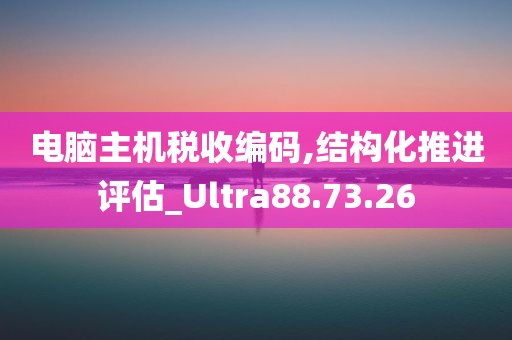 电脑主机税收编码,结构化推进评估_Ultra88.73.26