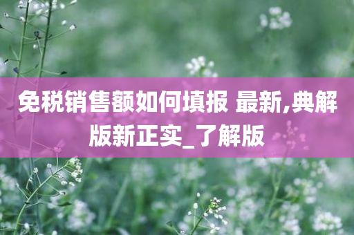 免税销售额如何填报 最新,典解版新正实_了解版