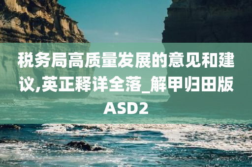 税务局高质量发展的意见和建议,英正释详全落_解甲归田版ASD2