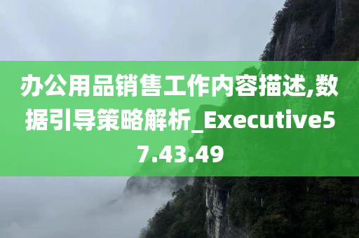 办公用品销售工作内容描述,数据引导策略解析_Executive57.43.49