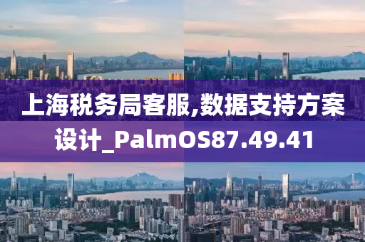 上海税务局客服,数据支持方案设计_PalmOS87.49.41