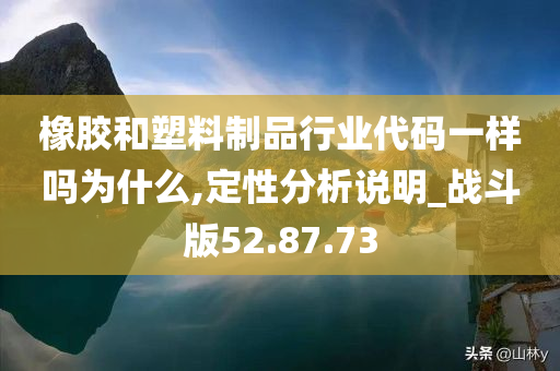 橡胶和塑料制品行业代码一样吗为什么,定性分析说明_战斗版52.87.73