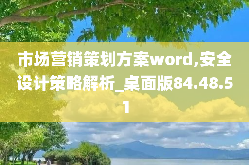 市场营销策划方案word,安全设计策略解析_桌面版84.48.51