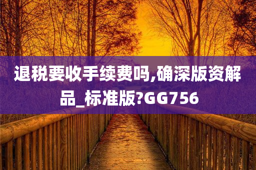 退税要收手续费吗,确深版资解品_标准版?GG756