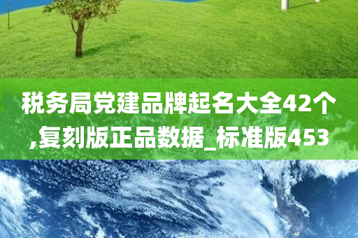 税务局党建品牌起名大全42个,复刻版正品数据_标准版453