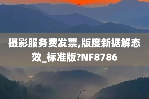 摄影服务费发票,版度新据解态效_标准版?NF8786