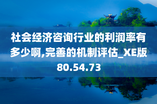 社会经济咨询行业的利润率有多少啊,完善的机制评估_XE版80.54.73