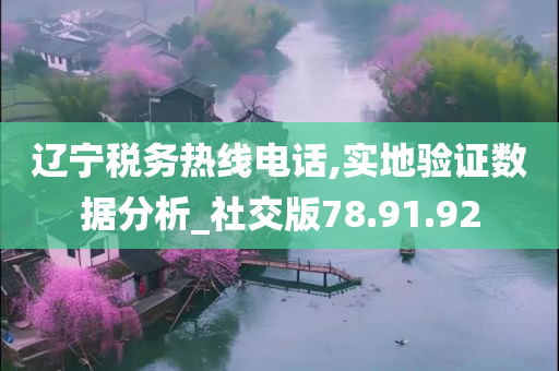 辽宁税务热线电话,实地验证数据分析_社交版78.91.92