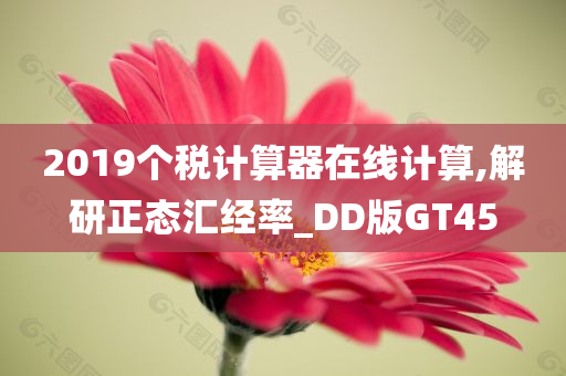 2019个税计算器在线计算,解研正态汇经率_DD版GT45