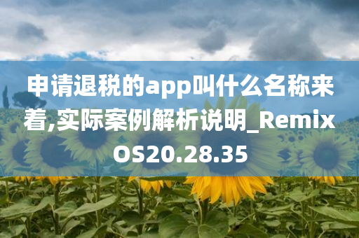 申请退税的app叫什么名称来着,实际案例解析说明_RemixOS20.28.35