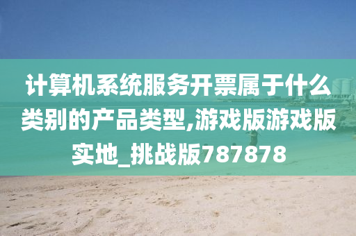 计算机系统服务开票属于什么类别的产品类型,游戏版游戏版实地_挑战版787878