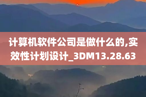 计算机软件公司是做什么的,实效性计划设计_3DM13.28.63