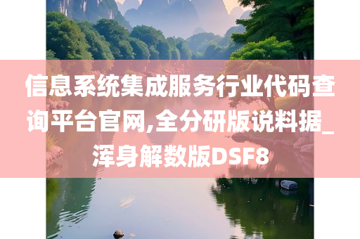 信息系统集成服务行业代码查询平台官网,全分研版说料据_浑身解数版DSF8