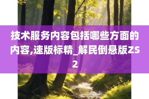 技术服务内容包括哪些方面的内容,速版标精_解民倒悬版ZS2