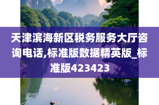 天津滨海新区税务服务大厅咨询电话,标准版数据精英版_标准版423423