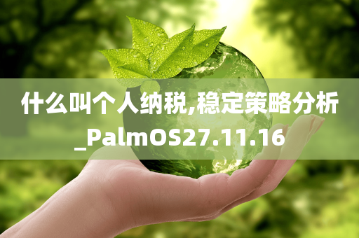 什么叫个人纳税,稳定策略分析_PalmOS27.11.16