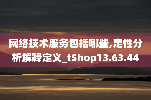 网络技术服务包括哪些,定性分析解释定义_tShop13.63.44