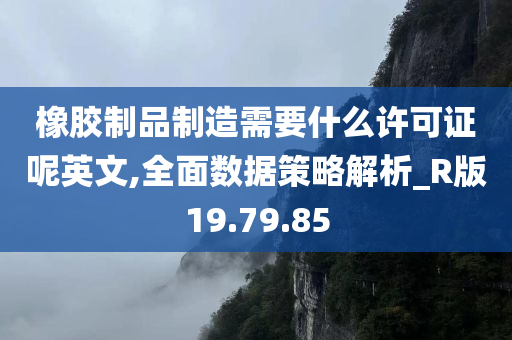 橡胶制品制造需要什么许可证呢英文,全面数据策略解析_R版19.79.85