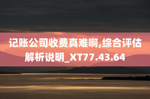 记账公司收费真难啊,综合评估解析说明_XT77.43.64