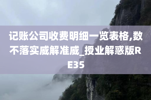 记账公司收费明细一览表格,数不落实威解准威_授业解惑版RE35